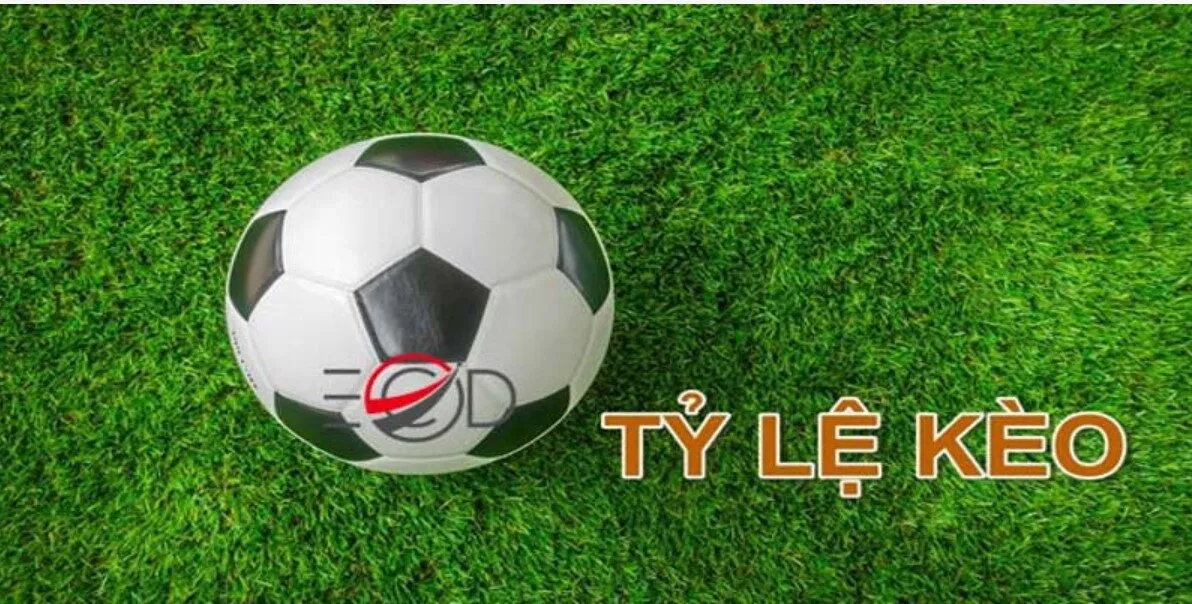 Kèo nhà cái New88 - Tìm hiểu khái niệm cơ bản nhất