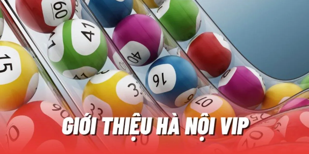 Những lưu ý từ New88 hỗ trợ bạn khi tham gia chơi số VIP HN 