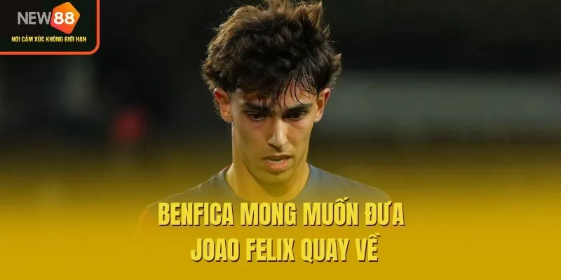 Benfica mong muốn đưa Joao Felix quay về
